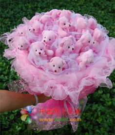 粉色熊宝宝 鲜花速递请选中国网上花城