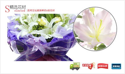 广岛网上花店 商品内容 白色多头百合9枝 黄色康乃馨6枝 绿叶 黄英间插 商品包装 紫色绵纸内衬,紫色卷边纸圆形精美包装,外围一层紫色网纱 一圈紫色丝带