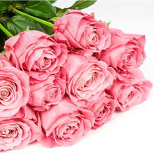 【昆明花店鲜花】昆明花店鲜花价格/图片_昆明花店鲜花批发/采购_昆明花店鲜花厂家/供应商