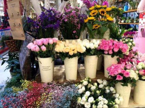 花店常见玫瑰花种类及图片