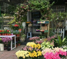 情人快到了,要送花 要表白的东莞人一定要知道这几家花店