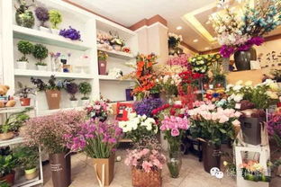 七夕快到了 没束花还想约我过节 盘点保定最美的花店