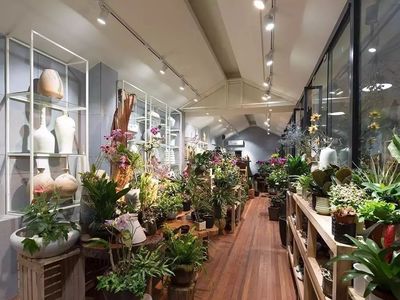 她央美毕业,开了间300㎡花店"废物利用"改造烂木头,把最美好的东西留给了自然_文化_网