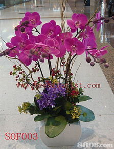 致艺轩花店提供喜庆花篮 鲜花花束 结婚花球等产品