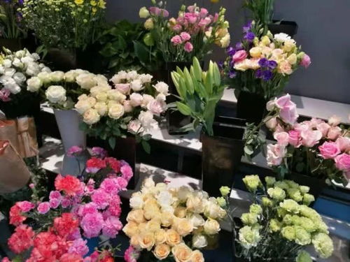 鲜花扔掉太可惜 花店老板教你做干花