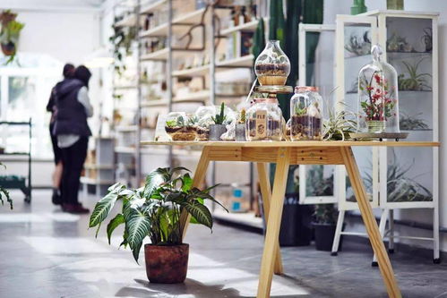 开一间花店,做一个惬意的老板娘