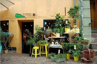 花店,城市中离大自然最近的地方