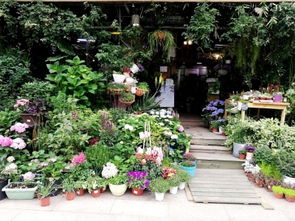 扬城 无人花店 十多年无失窃