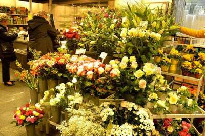 花之物语花店加盟携手共创美好未来,花之物语花店加盟引领创业新潮流