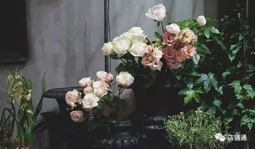 花店运营 看看这样的鲜花店经营指导方案适不适合你