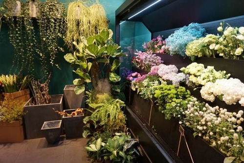 从朝九晚五到新概念花店,机会只眷顾有准备的人