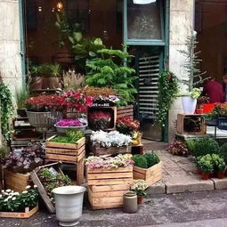 开家花店,享受慢生活