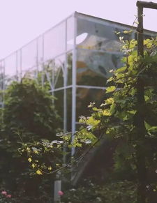 帝都最美花店地图