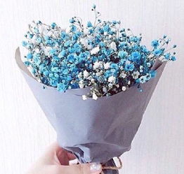 广岛网上花店 商品内容 蓝色满天星花束 淡紫色包装纸