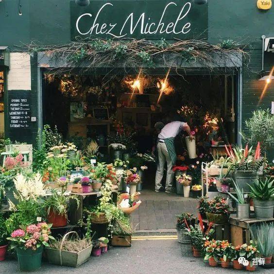 开一间花店,治愈人生