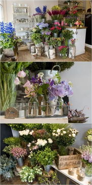 花店装修不用愁,这些风格随你挑