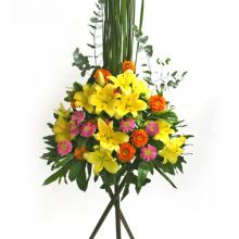 香港尚礼坊花店 供应产品