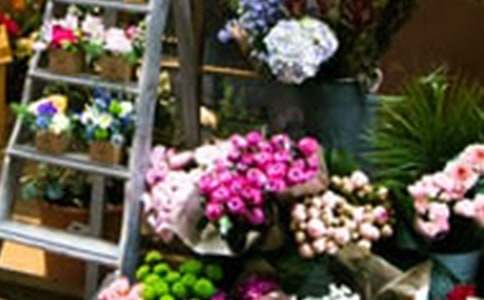 花店项目策划书