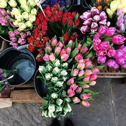 我有一个小梦想,开间自己的小花店