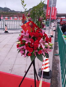 图 重庆彭水鲜花店出售发财树开业植物鲜花速递服务好 重庆鲜花绿植