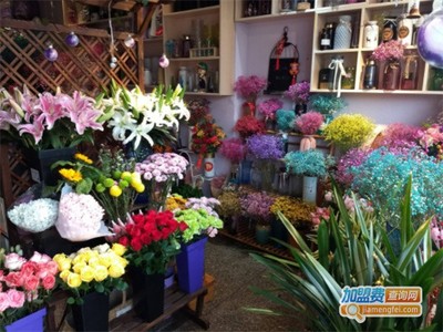【心情不错花店】开店心情不错花店,一年能赚很多!