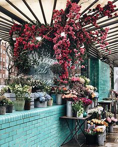 【场景】小场景 近中景 室内 街道