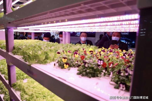 走进进博 当我们谈 绿色 时,我们谈些什么