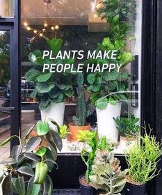 这6家花店,一家比一家美