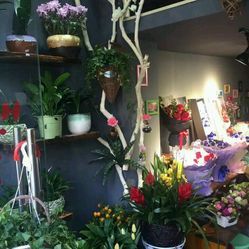 海上花开鲜花店 联系方式、地址、价格与营业时间详情