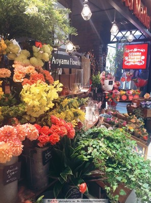 花店 城市中的芬芳绿洲