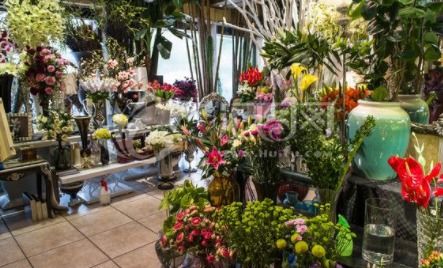 花店经营保险指南 商业险与交强险费用解析