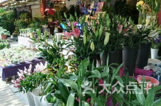 厦门湖里区花店精选推荐与选择指南