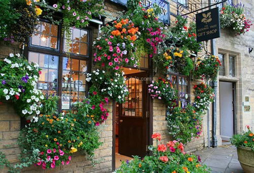 花香里的诗与远方 一家理想花店的灵魂