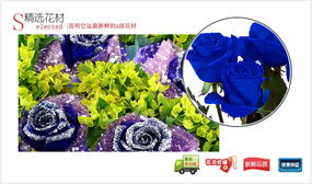 至死不渝,中国网上花城 商品内容 蓝玫瑰4枝 叶上黄金 商品包装 皱纹纸圆形包装