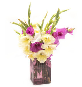 【鲜花广州花店】鲜花广州花店价格/图片_鲜花广州花店批发/采购_鲜花广州花店厂家/供应商