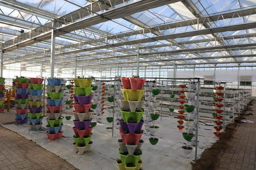 我们的十三五 新坐标 农业科技馆