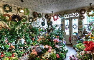 花店盟费是多少钱 总投资11.09万元 加盟费查询网