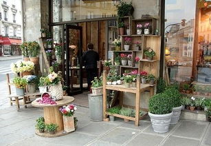 花店培训与创业指南 从入门到成功开店的注意事项