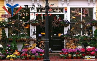 合肥花店装修 亚兰装饰，打造你的秘密花园，让浪漫满屋