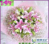 东莞花店情人节精选 8枝粉百合花束，说出你的爱